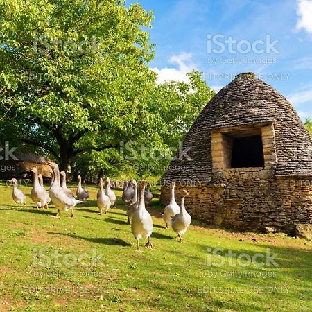 Studio Fontaine D'Amour Sarlat-la-Caneda Exterior photo